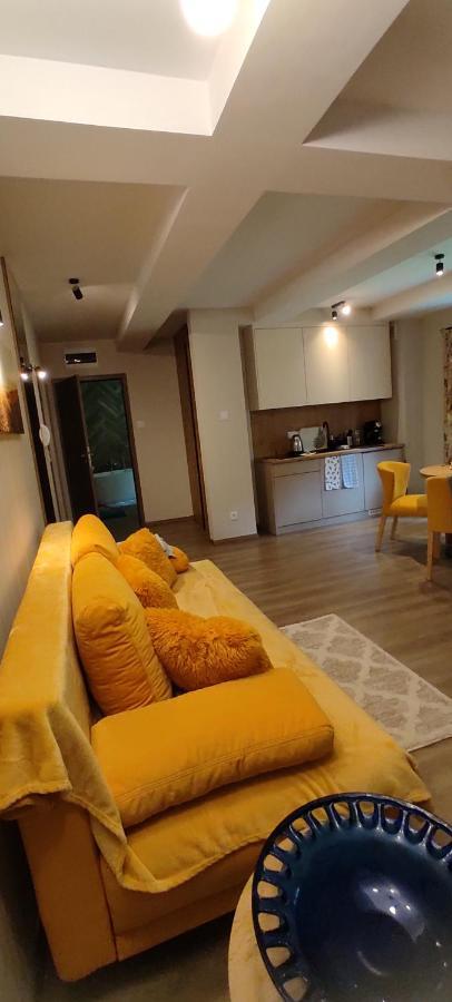 شقة Apartament 31 Kozubnik Joy&Love Porąbka المظهر الخارجي الصورة